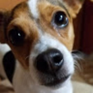 Meet your Posher, Joshua